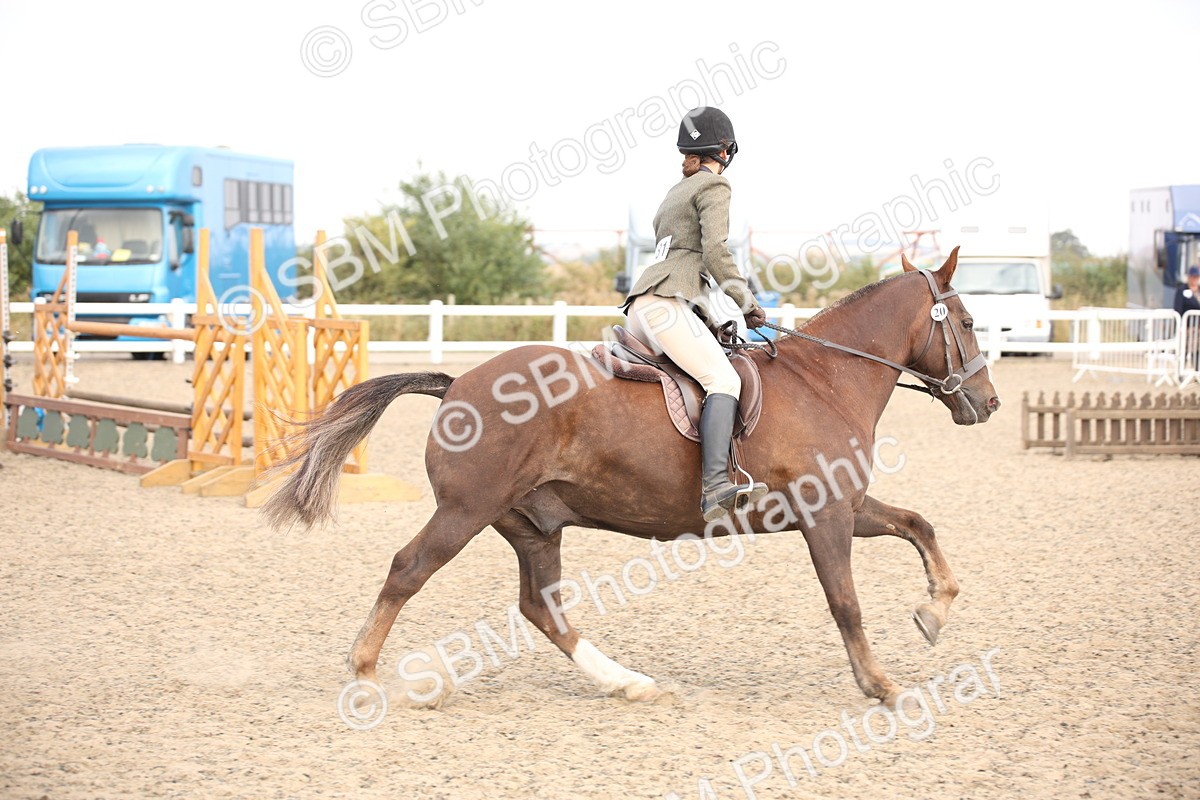 SBM_16042 - Class 408b - Working Veteran 70cm (20+)