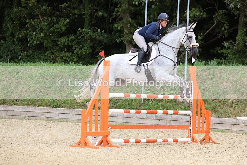 3E7A6451 - Class 9: Senior Foxhunter/1.20 open