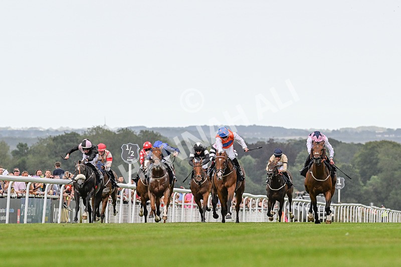 140824-Race 7-Willolarupi-3903 - Race 7