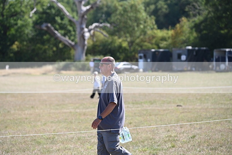 WJ6_7862 - Class 36 Lead Rein