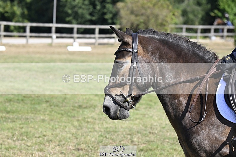 250822A-101122-20168 - DR 10.00 to 11.00