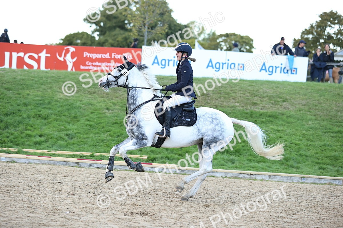 SBM_54465 - Supreme Championship 70cm 75cm