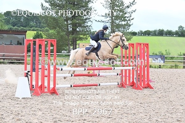 BPP_2967 - CLASS 7 Pony Discovery / 90cm Open
