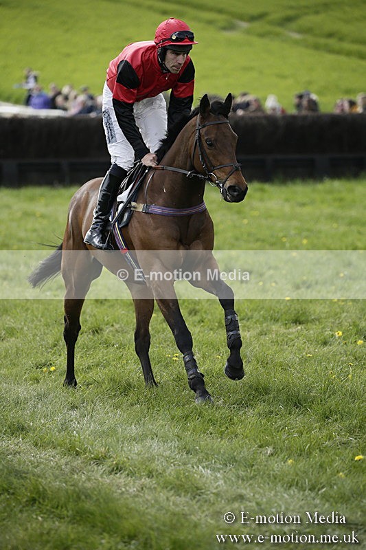PtP 170417 410 - Old Berks Point-to-Point Lockinge 17/04/17