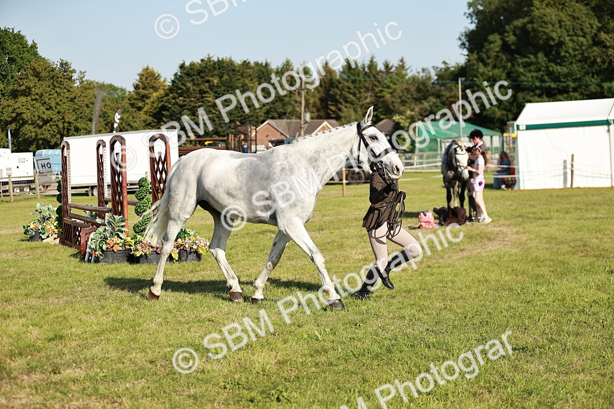 SBM_20031 - Class 115-116 - LIHS BSHA Rising Star Working Hunter & Show Horse