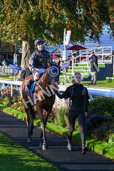 121024-Race 7-Two Brothers-3666 - Race 7 5.05pm Coral Committed To Safer Gambling Finale Handicap