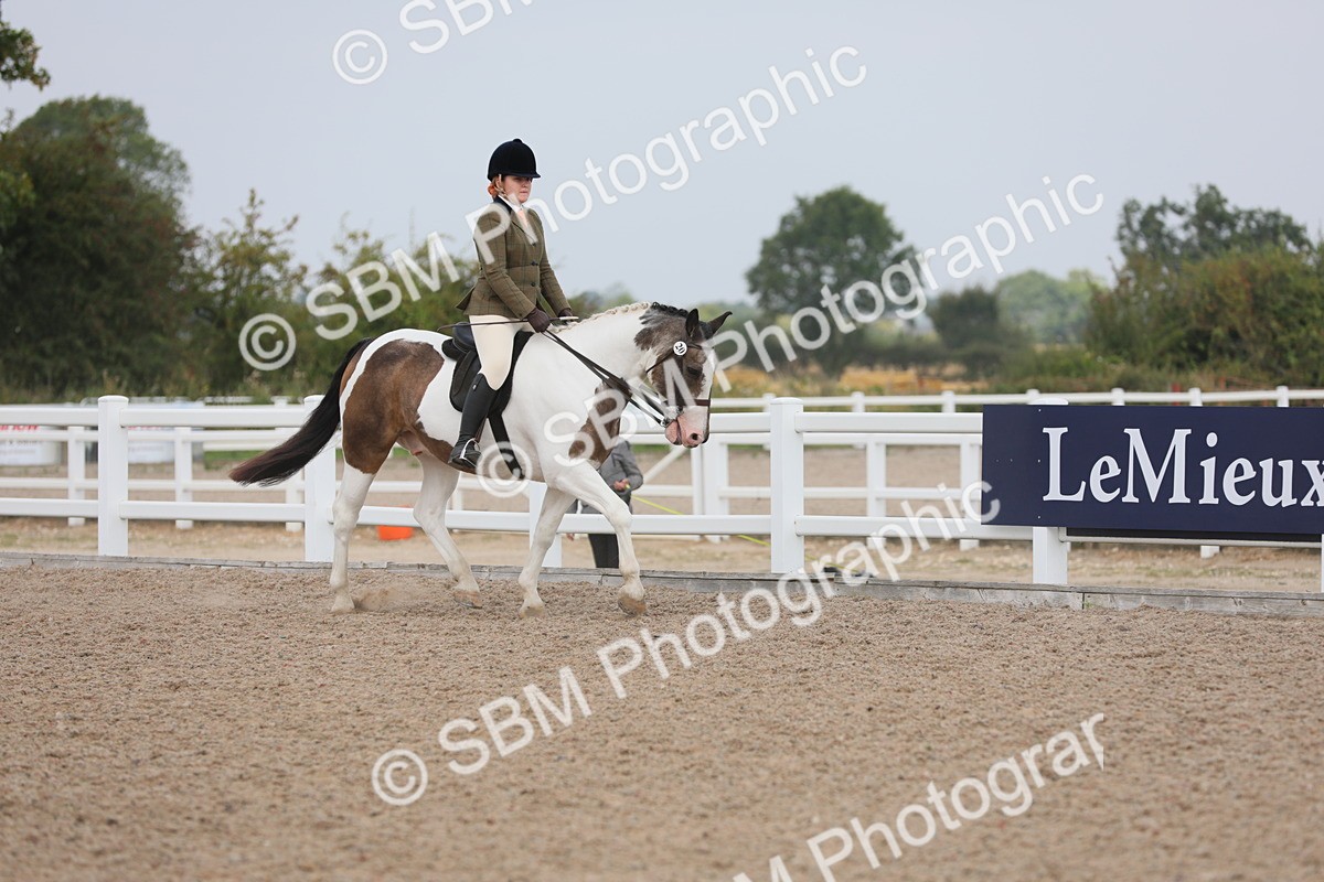 SBM_12679 - Class 307 Ridden Coloured Pony