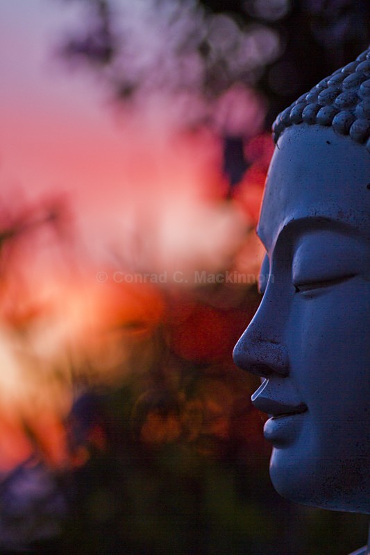 Breath of Buddha - Abstract