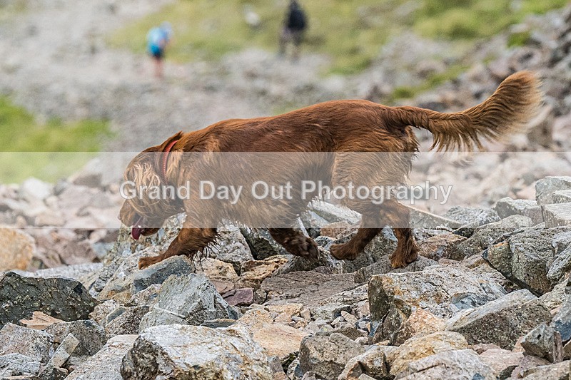Borrowdale-688 - Borrowdale Fell Race Saturday 3rd August 2024