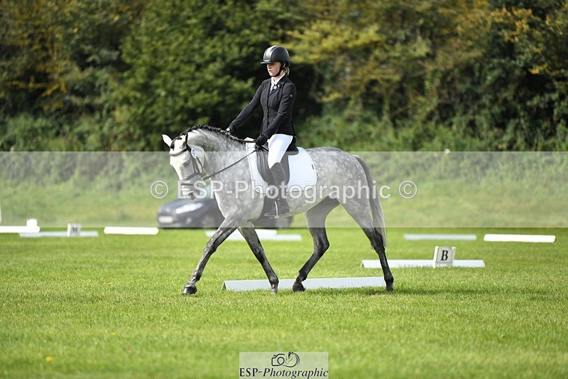 230826-105255-15631 - Sections C & D 10 to End