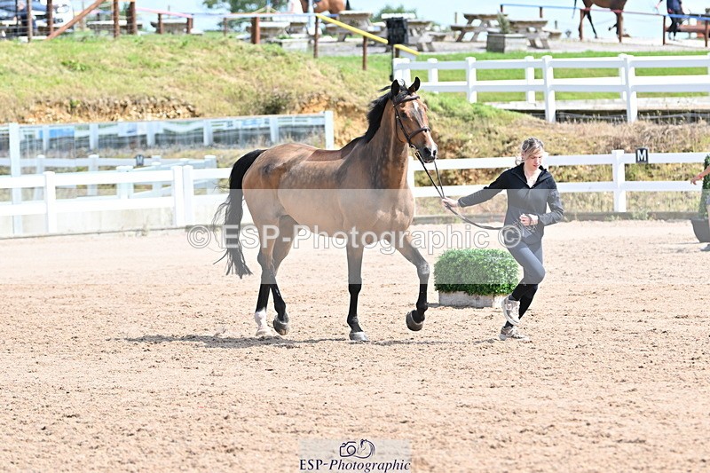 240717A-153304-02871 - Trot Up 3pm to 4pm