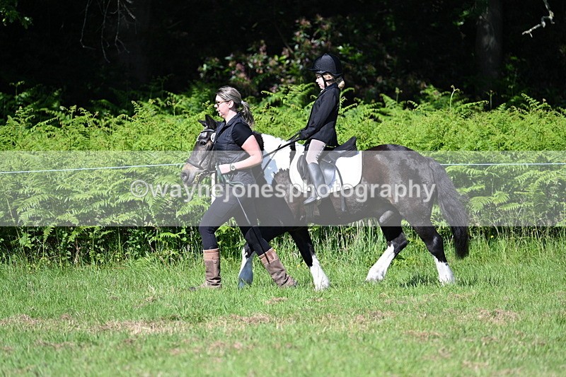 WJ7_0444 - Class 8 First Rally Pony