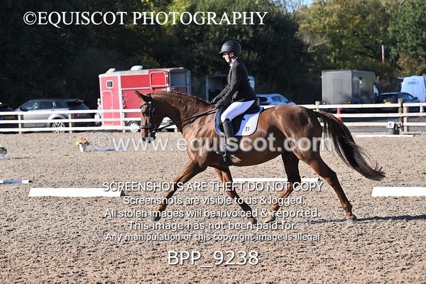 BPP_9238 - LONG ARENA