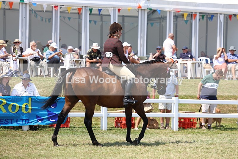 3E7A9275 - Class 12: Open Racehorse to Show Horse