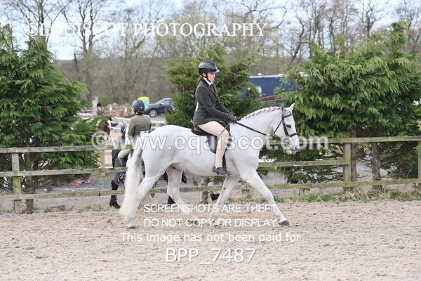 BPP_7487 - RING 1  (RIDDEN HORSES / IN HAND / VETERAN ETC)