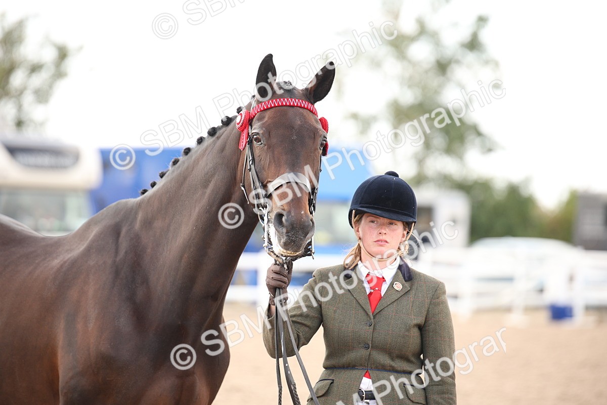 SBM_08262 - Class 27 - IH Competition Horse-Pony