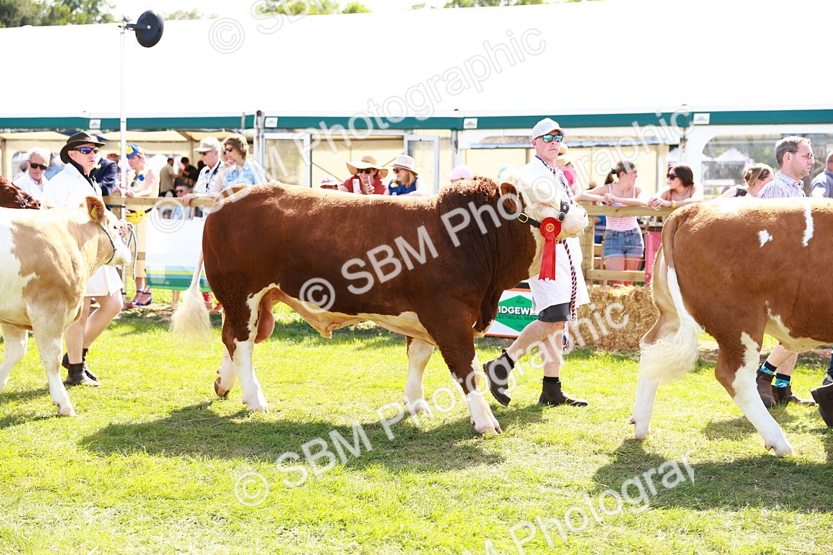 SBM_08442