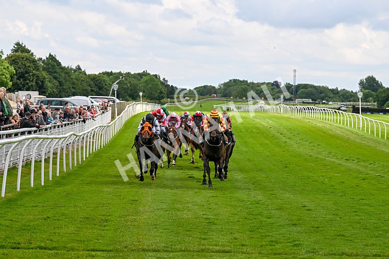 180624-Race 3-High Opinion-0294 - Race 3