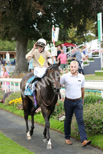 yr04092022r7-37 - Race 7 5.15pm Firmament Stakes
