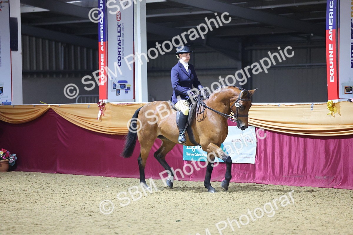 0B8A4647 - Class R Working Veteran Champ