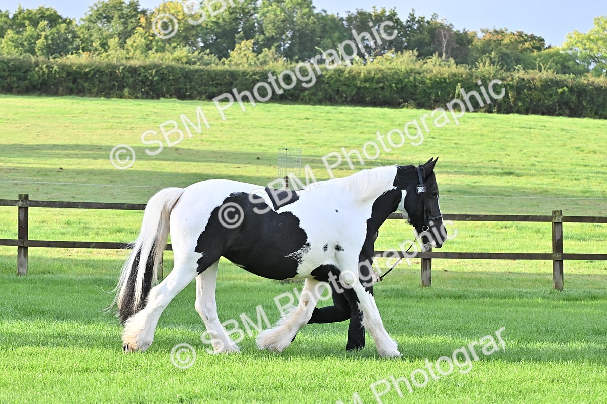 SBM_32601 - S15 - Top Turnout In Hand