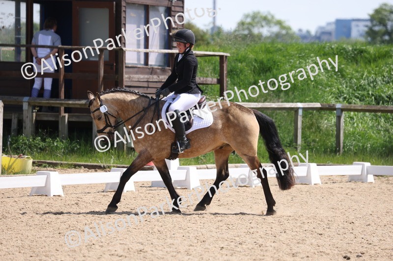 20250520-0785 - Class 5 - Novice 2