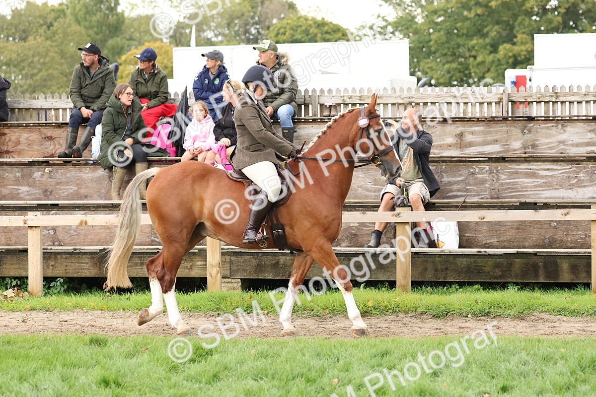 SBM_44936 - S27 - Young Veteran Ridden
