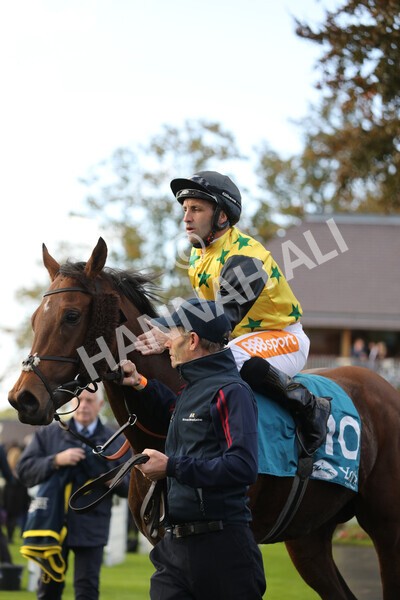 yr07102022r5-31 - Race 5 4.25pm Copper Knight Winningmost Horse Stakes