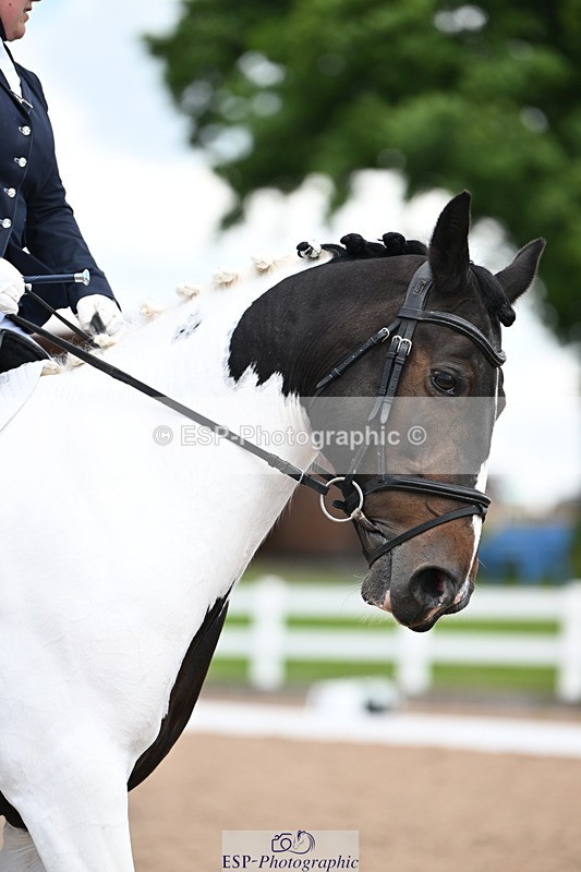 240621A-123228-02581 - Cls 5 BD Novice 37A