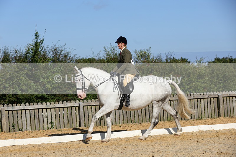 1X9A7781 - Class 9: Open Ridden Hunter