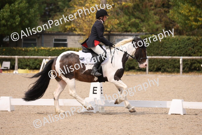 20250819-1340 - Class 4 - Novice 2