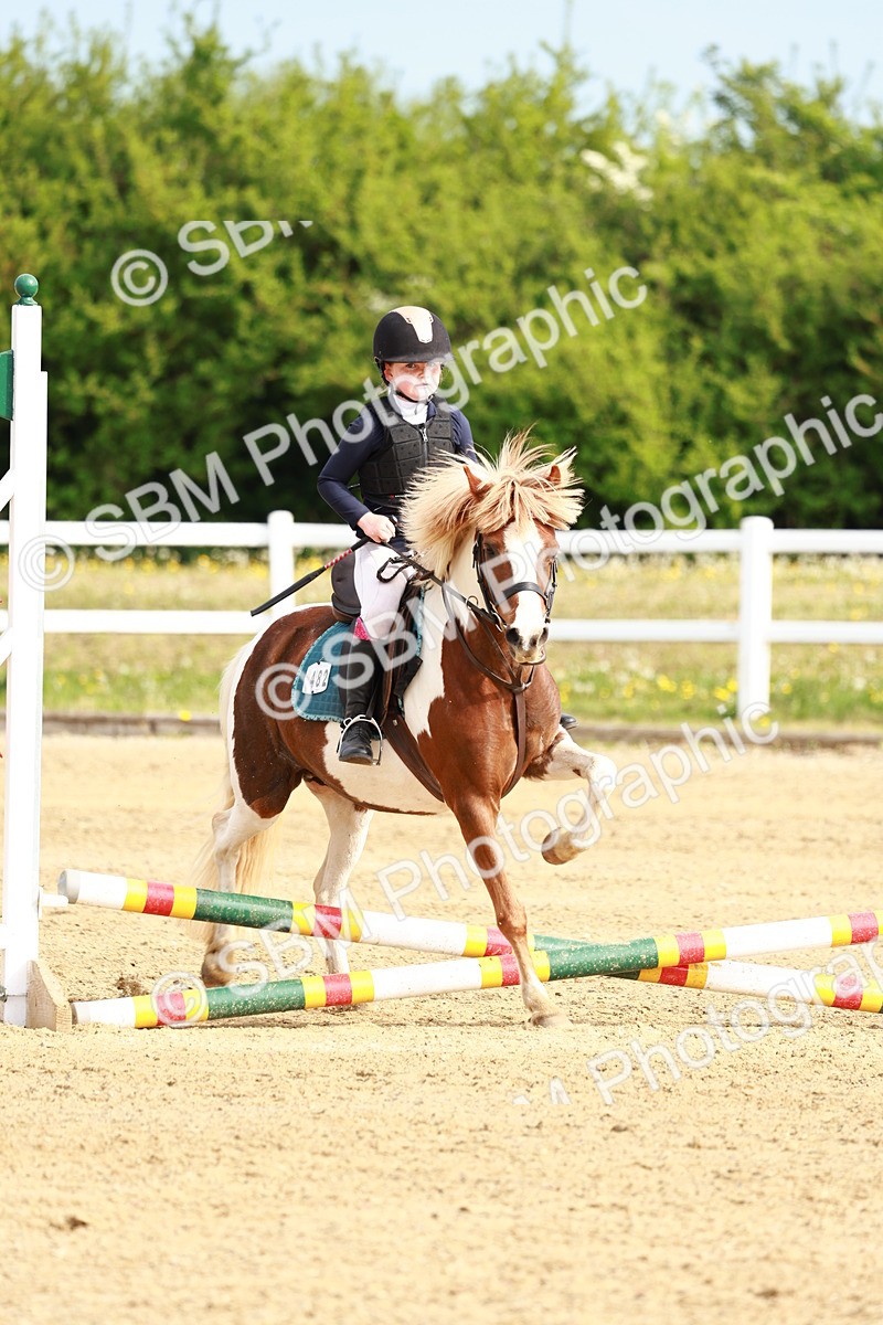 SBM_006473 - Class 1 - 40cm