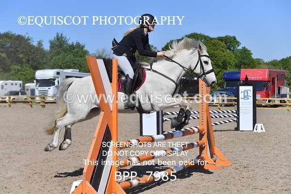 BPP_7985 - CLASS 2 Club/ Unaffiliated 80cms Open