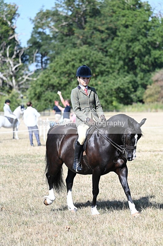 WJ7_3545 - Class 9 Mountain & Moorland Ridden