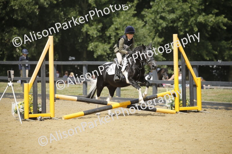 20250622-4050 - 50cm