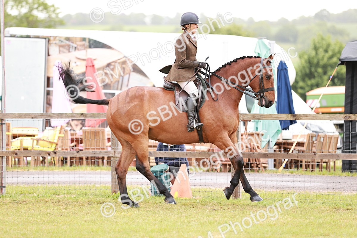 SBM_10766 - Class 81-84 - RIHS Ridden hunters Inc Ladies Hunter