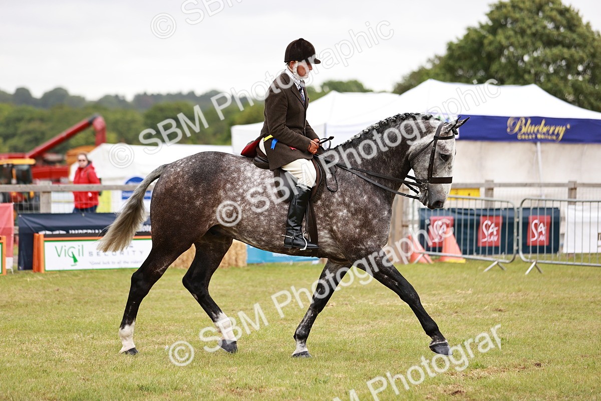SBM_10957_Class 81-84 - RIHS Ridden Hunters inc Ladies Hunter - Valentine