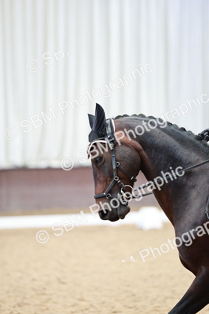 SBM_006540 - Class 16 - Advanced Medium 5 - 16.02-17.22