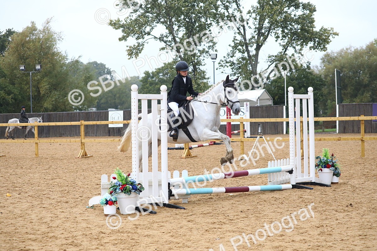 SBM_71627 - J4 - Mini Tour Junior Pony 45cm Championship