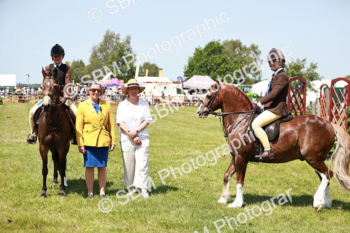 SBM_15817 - Class 108-109 - BSPS LIHS Open Gradle & Nursery Stakes