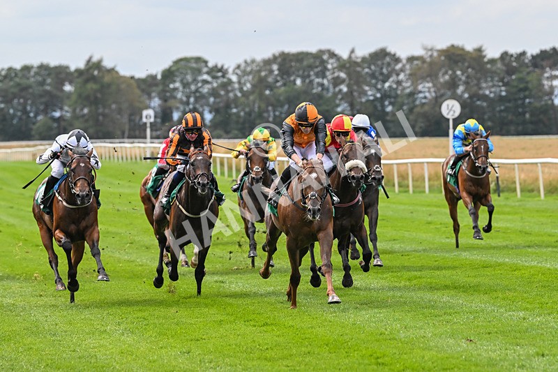 060925-Race 2-Dazzling Haze-4646 - Race 2