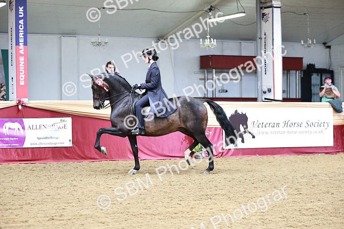 SBM_03716 - Class 6A Area Ridden Pre-Vet