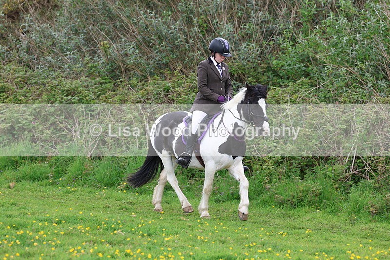 3E7A1497 - Class 8: Ridden Veteran Junoir and Senior