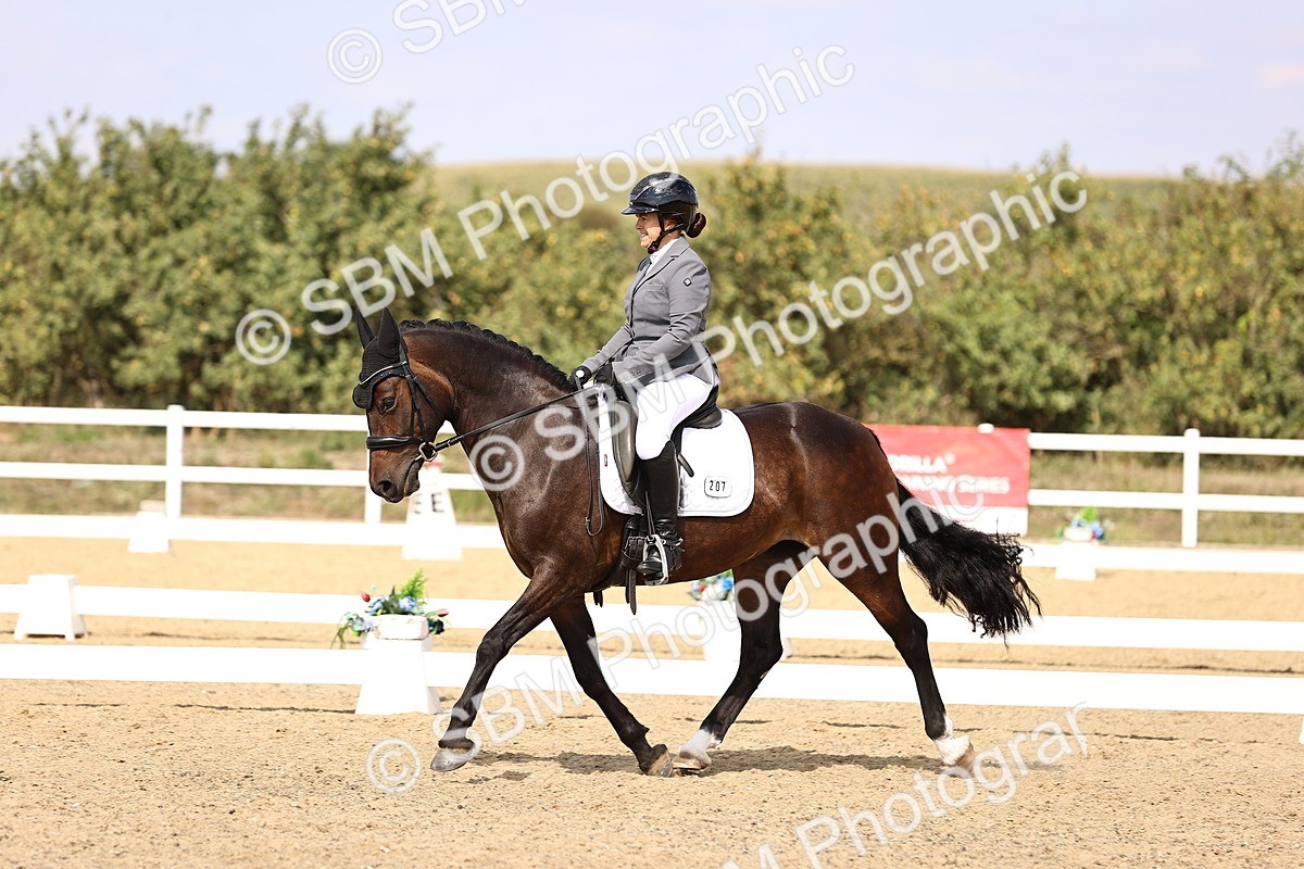 SBM_015013 - Class 6 - Elementary 5