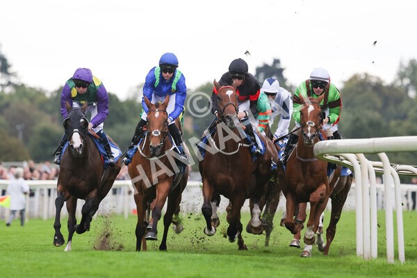 yr24092021r6-17 - Race 6 4.25pm William Hill Pick Your Places Stakes