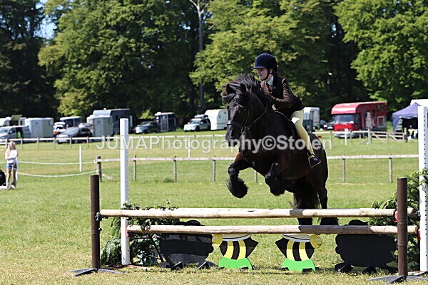 IMG_4309 - Working Hunter