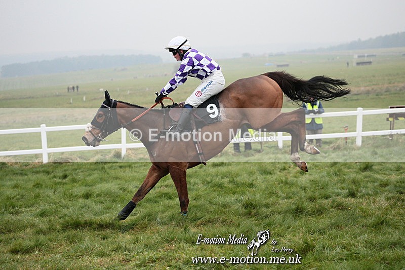 PtP 261123 271 - Hursley Hambledon Point-to-Point Larkhill 26 Nov 2023