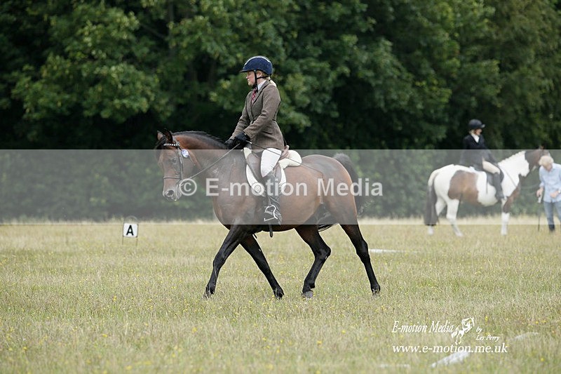 BVRC 030721 201 - Bourne Valley Riding Club Dressage 03/07/21