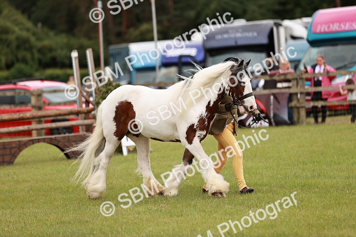 SBM_06040 - Class 39-41 TGCA In Hand and Ridden