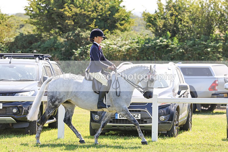 IMG_1926 - Class 33: Show Pony 148cm and under